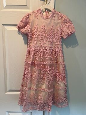 Ivy City Co Pink Floral Embroidered Lace Dress